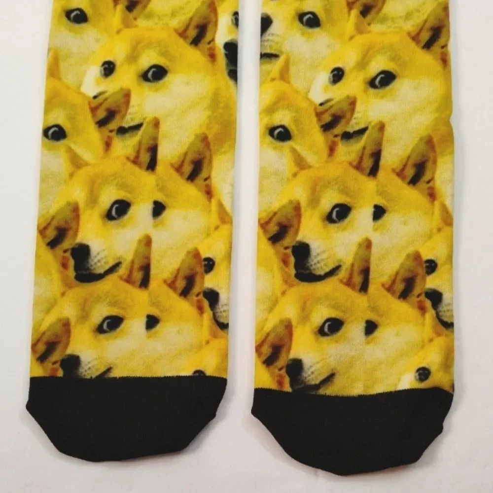 None shiba inu